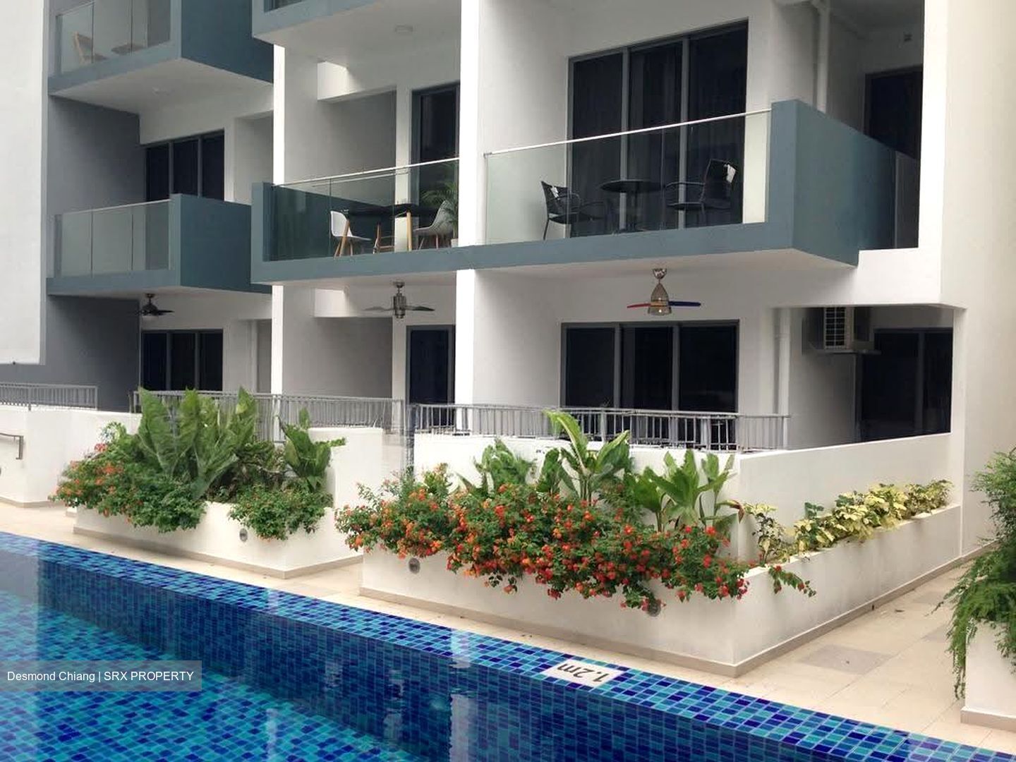 Suites 28 (D14), Apartment #619846561